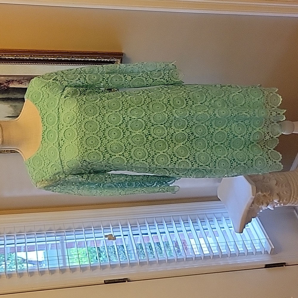 Crown & Ivy mint green lace dress long sleeve fitted lined body size 8 EUC…